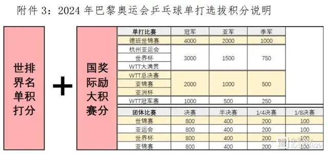 最准一码一肖，揭秘真相与实用释义