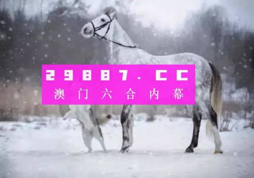 澳门一肖一码，揭秘背后的秘密与解析落实之道